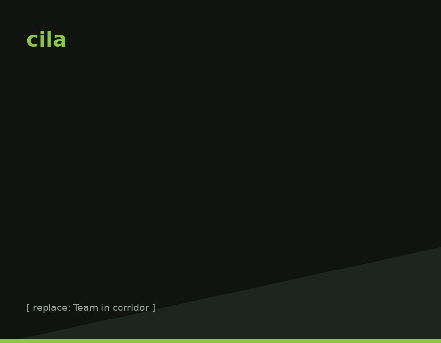 CILA consulting team
